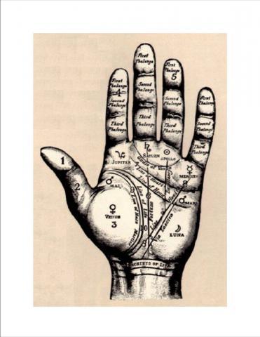 palmistry lines