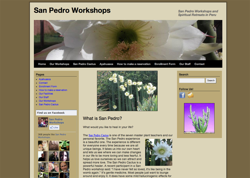 San Pedro Workshops